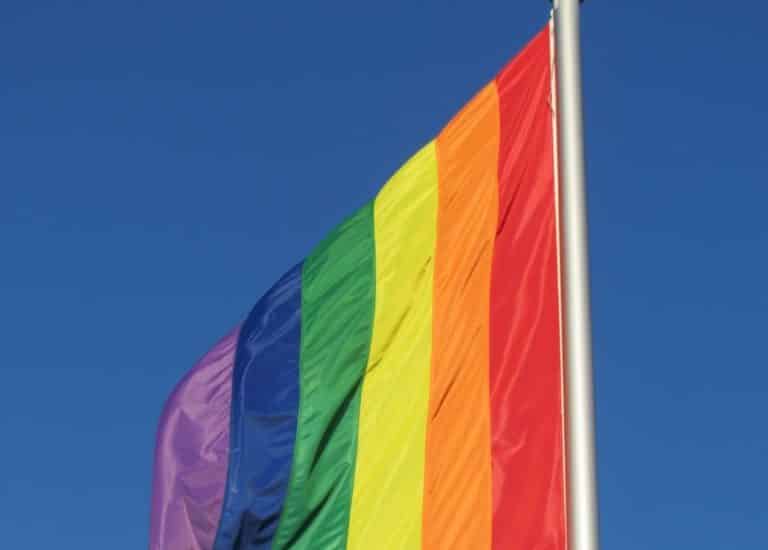 Zakaz dyskryminacji osób ze środowiska LGBT w holenderskiej konstytucji