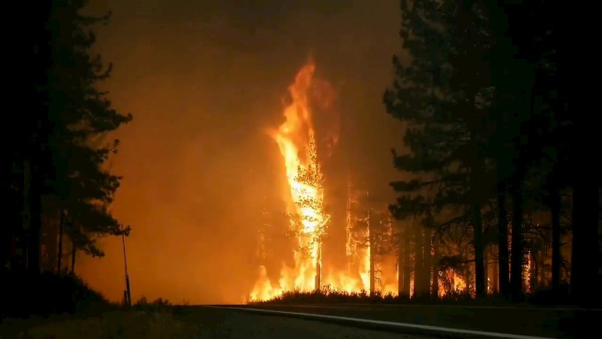 Pożar w Kalifornii. Fot. YouTube
