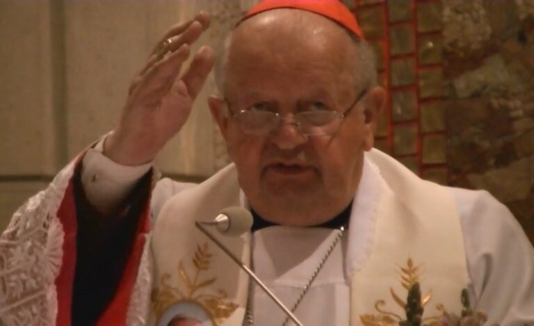 Ważny wywiad kardynała Dziwisza. Duchowny mówi o pedofilii w kościele