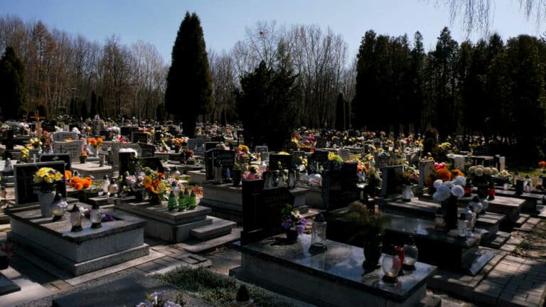Masakra w Płońsku! Owinięty w reklamówki noworodek, został zakopany na cmentarzu