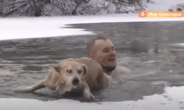 Dramatyczna operacja ratowania psa. Dziennikarz wskoczył do lodowatej wody WIDEO